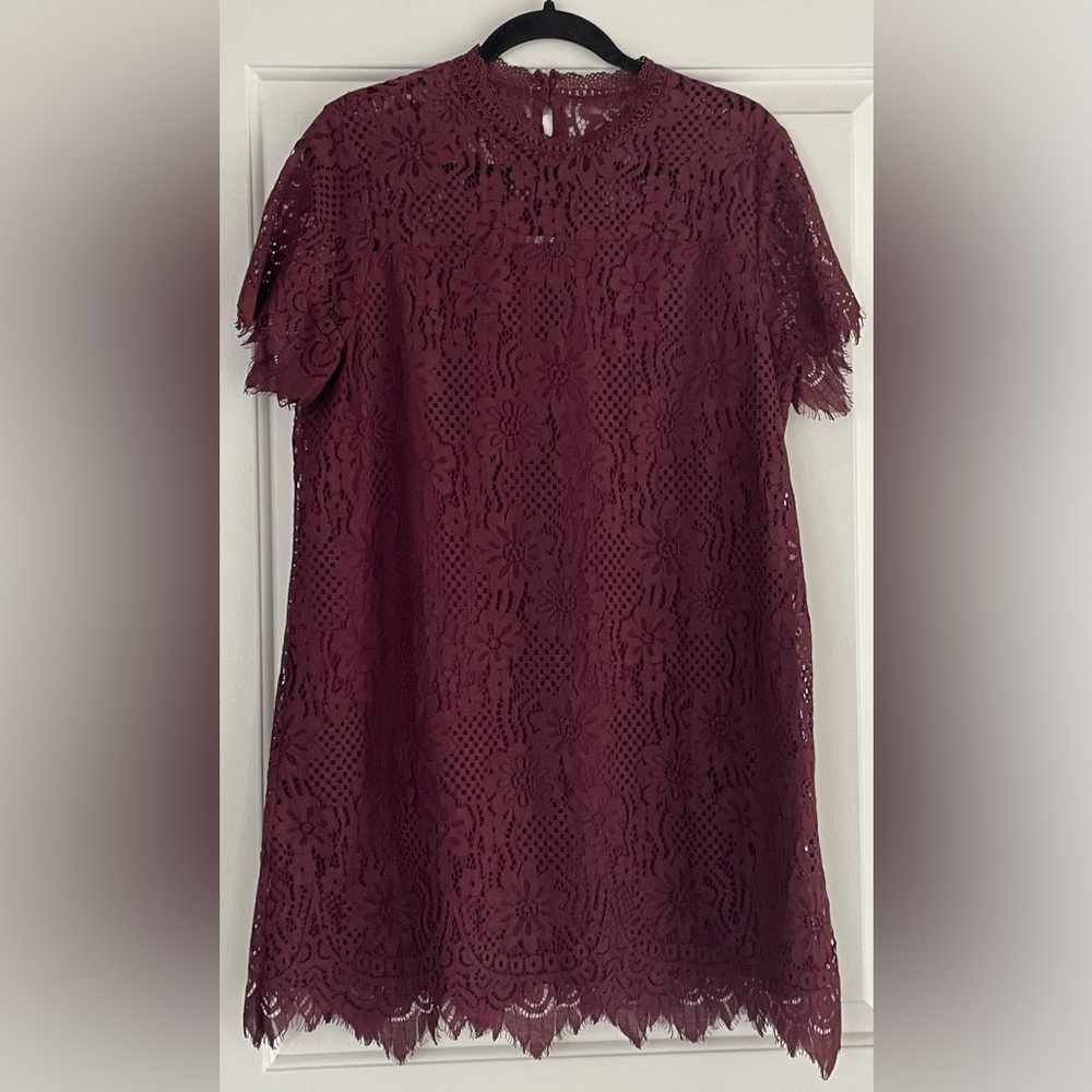 Entro Elegant Lace Burgundy Dress